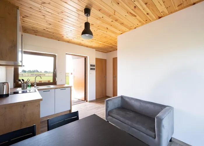 Kwiat Paproci * Gąski