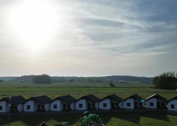 Kwiat Paproci Gąski